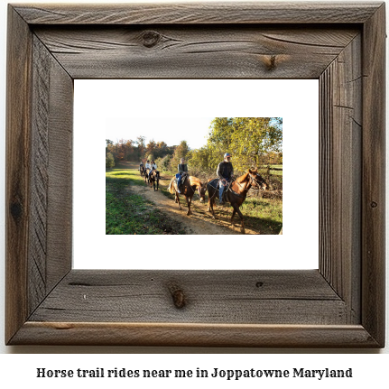 horse trail rides near me in Joppatowne, Maryland